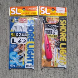 最初だけは好調